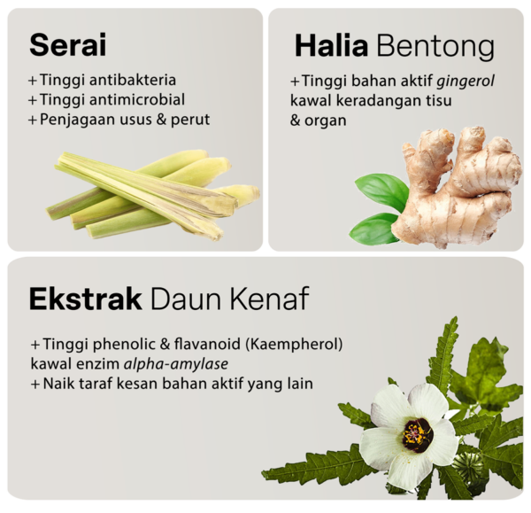 BioKenaf produk