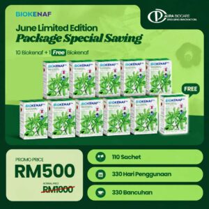 PAKEJ SPECIAL SAVING (10 KOTAK + 1 KOTAK FREE)